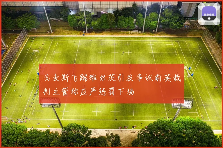 戈麦斯飞踹维尔茨引发争议前英裁判主管称应严惩罚下场