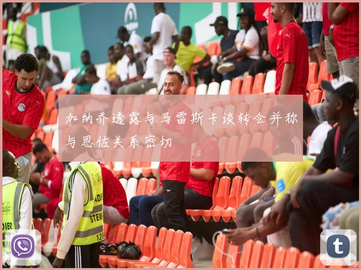 加纳乔透露与马雷斯卡谈转会并称与恩佐关系密切
