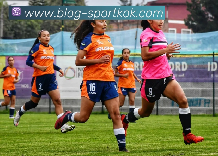 KOK体育平台生态图